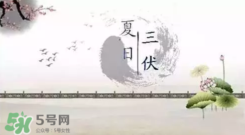 三伏天练什么,冬练三伏天 三伏天练什么,冬练三伏天