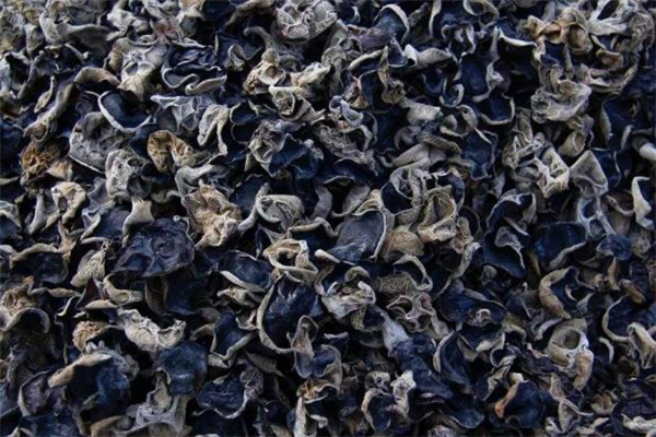 5年前的干木耳还能吃吗,干木耳放了5年还能吃吗