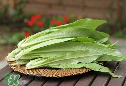 莴苣叶要焯水吗,莴笋叶用焯水吗