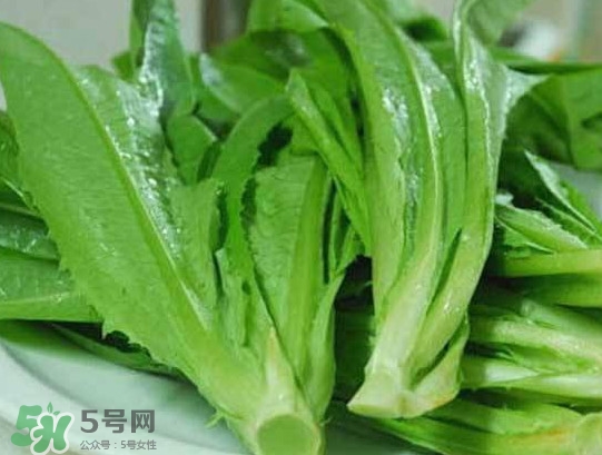 孕妇能吃莴苣叶子能吃吗,孕妇可以吃凉拌莴苣丝吗