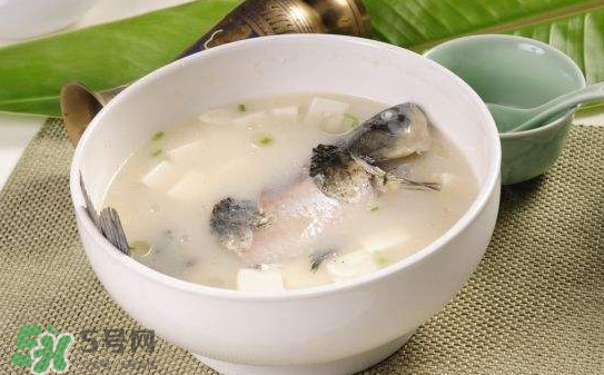 十大补汤的做法大全,大补汤类菜谱大全