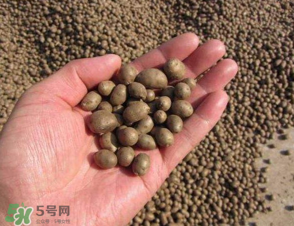 山药豆可以蒸着吃吗?,山药豆能蒸着吃吗