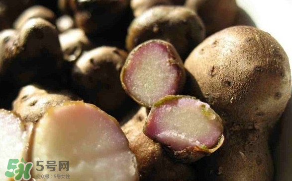 山药豆能泡酒吗,山药豆泡酒功效和作用