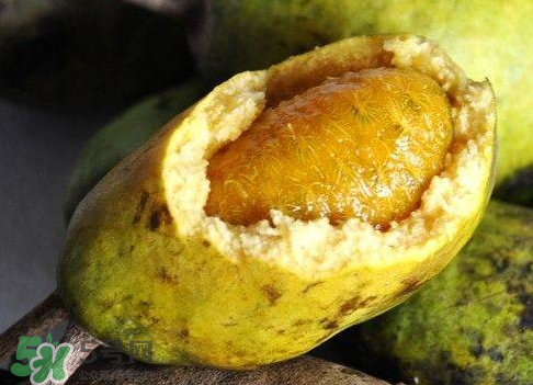 牛卵坨的种植技术,哪里有牛卵坨种植基地