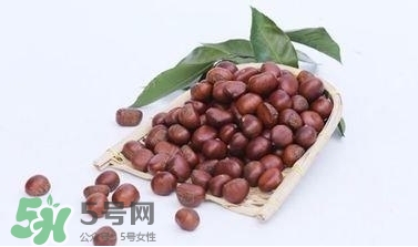 板栗制作方法视频,板栗酒的制作方法