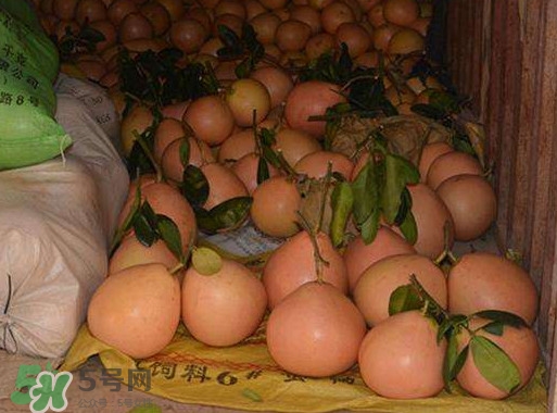 三红蜜柚是哪里产的,三红蜜柚产地哪里 三红蜜柚是哪里产的,三红蜜柚产地哪里