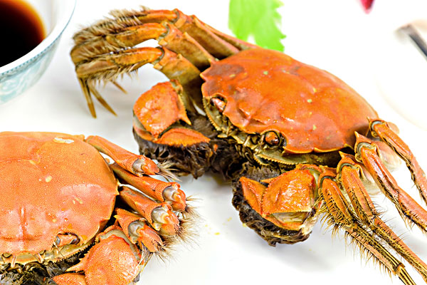 红膏大闸蟹多少钱一斤,红膏蟹多少钱一斤