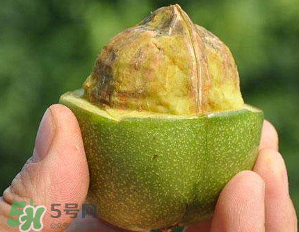 青皮核桃可以冷冻吗,青皮核桃放冷冻一年还能吃吗