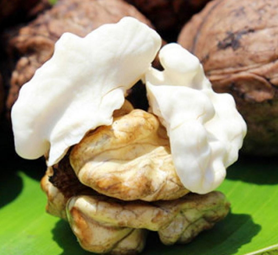 孕妇吃湿核桃好还是干核桃好,孕妇吃干核桃好还是鲜核桃好