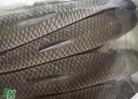 酥肉放冰箱是冷藏还是冷冻,做好的肉冷冻还是冷藏