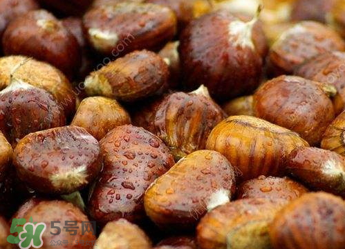 板栗泡酒可以壮阳吗,栗子泡酒真能壮阳吗