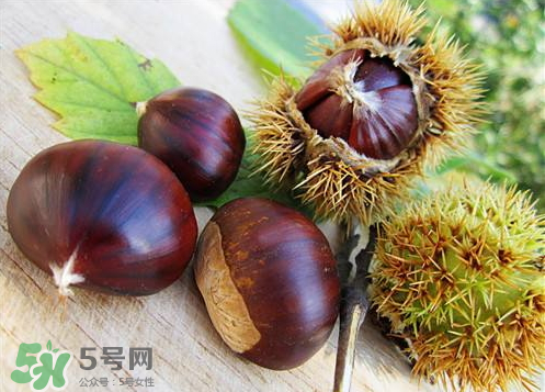 板栗和什么泡酒最好,怎样泡板栗酒