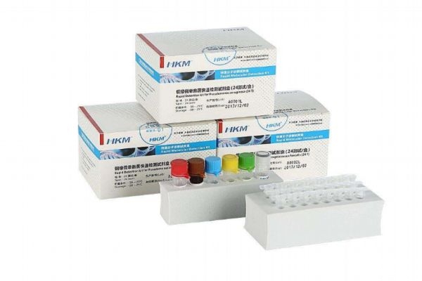 核算检测是怎么检测的(核酸检测是如何检测)