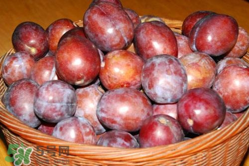 吃西梅有什么好处和功能功效,吃西梅有什么好处和坏处