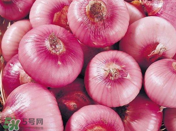 喝生洋葱汁什么时候喝最好,洋葱可以榨汁喝吗?什么时间段喝好? 喝生洋葱汁什么时候喝最好,洋葱可以榨汁喝吗?什么时间段喝好?