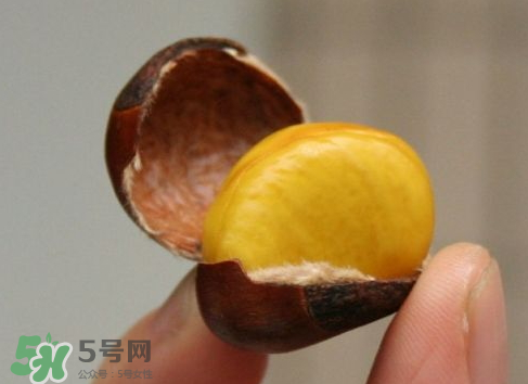 煮板栗用冷水还是热水?,煮板栗用开水还是冷水