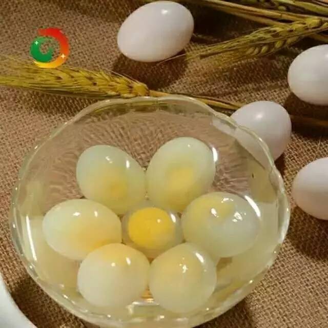 鸽子蛋吃多了会上火吗?,每天吃鸽子蛋会上火吗