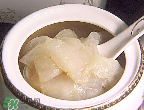 鱼胶能用高压锅炖吗,炖鱼胶可以用高压锅隔水炖吗