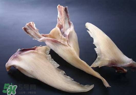 干鱼翅怎么保存最好,干鱼翅怎么保存不变质