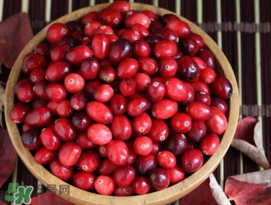 蔓越莓几月份成熟,蔓越莓成熟的季节