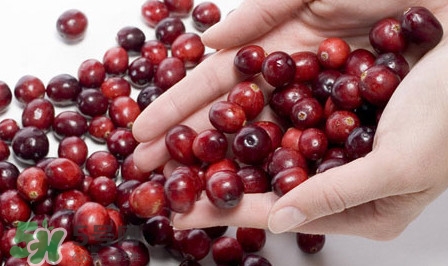 蔓越莓有什么作用和功效,蔓越莓价格多少钱一斤 蔓越莓有什么作用和功效,蔓越莓价格多少钱一斤