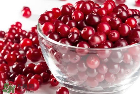 蔓越莓是凉性的吗,蔓越莓凉性还是热性