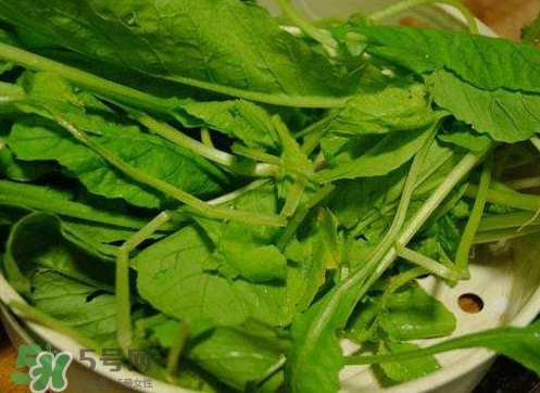 萝卜缨孕妇能吃吗,萝卜缨孕妇可以吃吗