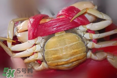 黄油蟹是海蟹吗,黄油蟹是什么蟹 黄油蟹是海蟹吗,黄油蟹是什么蟹