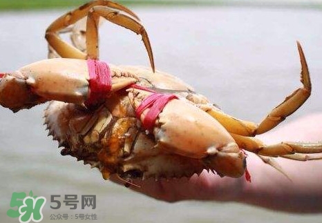 熬好的蟹黄油放冰箱能存多久,蟹黄放冰箱可以放几天 熬好的蟹黄油放冰箱能存多久,蟹黄放冰箱可以放几天