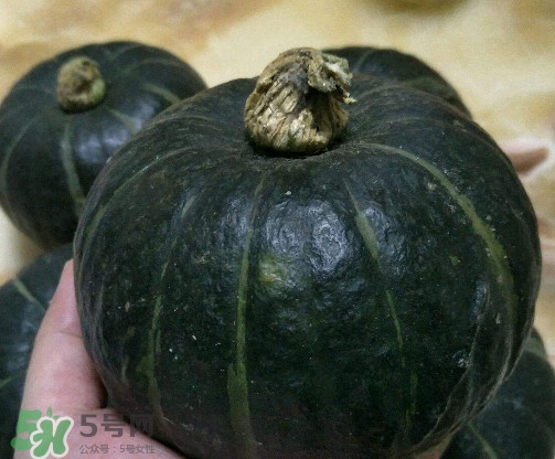 南瓜贝贝多少钱一个,贝贝小南瓜多少钱一斤