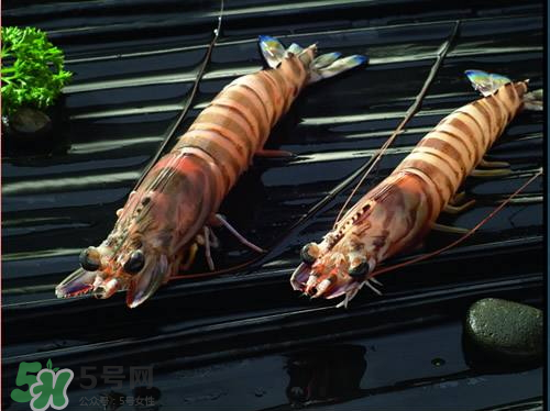 草虾的营养价值和功效,草虾的营养价值及功效和禁忌