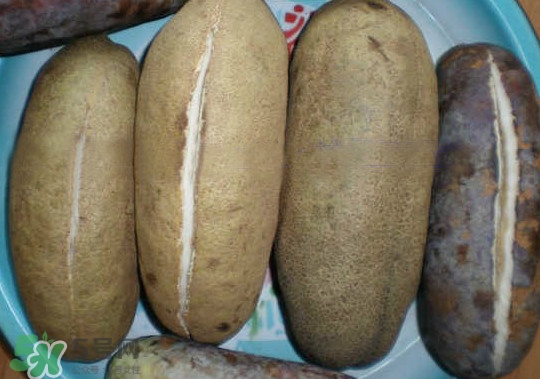 八月瓜是什么,八月瓜能吃吗有什么人不能吃