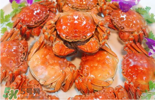 大闸蟹的营养价值及功效,大闸蟹的正确做法