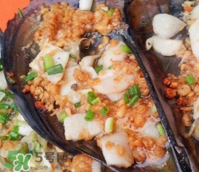 带子是什么海鲜图片,带子是什么海鲜怎么做好吃