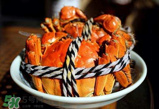 啤酒蒸大闸蟹的做法步骤,大闸蟹 啤酒蒸