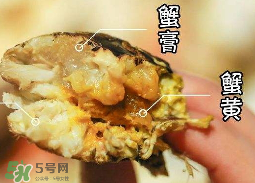 大闸蟹蟹黄是黑色的怎么回事,螃蟹蟹黄是黑色的怎么回事 大闸蟹蟹黄是黑色的怎么回事,螃蟹蟹黄是黑色的怎么回事