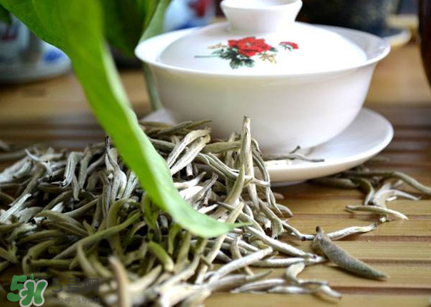 普洱茶需要洗茶吗?怎么泡最好,白茶需要洗茶吗? 普洱茶需要洗茶吗?怎么泡最好,白茶需要洗茶吗?