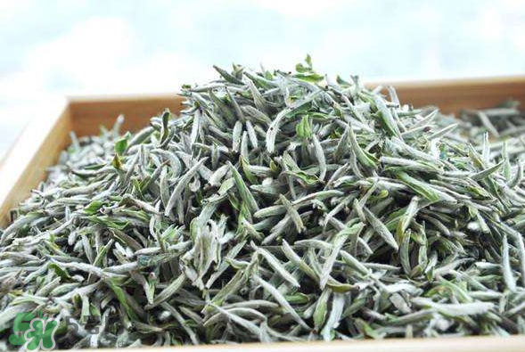 白毫银针原产地在哪个省,白毫银针产自于哪里