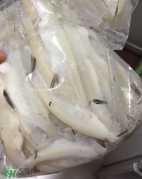 银鱼可以煲粥吗,银鱼可以煮粥吗