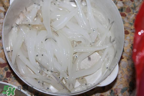 大银鱼多少钱一斤,大银鱼价格