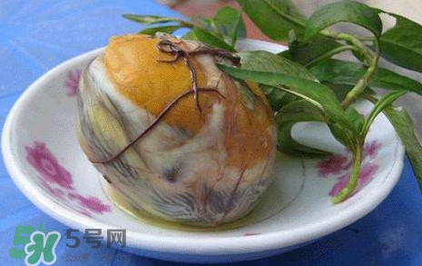 鸭仔蛋怎么吃好吃,鸭仔蛋怎么吃 鸭仔蛋怎么吃好吃,鸭仔蛋怎么吃