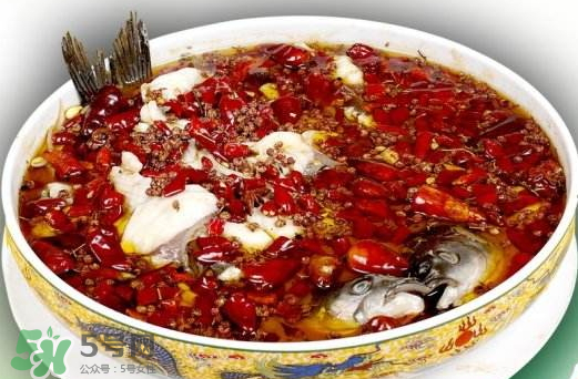 鲤鱼可以做水煮鱼吗,鲤鱼能做水煮鱼吗正宗水煮鱼