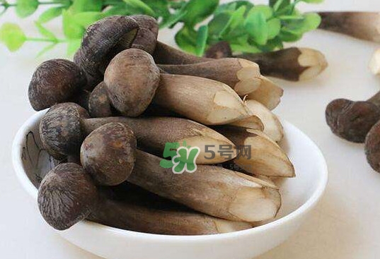 松茸和鸡枞菌哪个好吃,鸡枞菌和松茸菌哪个好吃 松茸和鸡枞菌哪个好吃,鸡枞菌和松茸菌哪个好吃