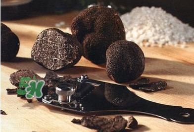 鹿鞭人参黑松露是保健品吗,松露是什么东西