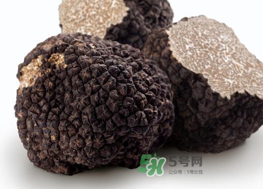 松露是什么样子图片,松露长什么样