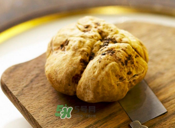 中国哪里有白松露,中国有白松露吗