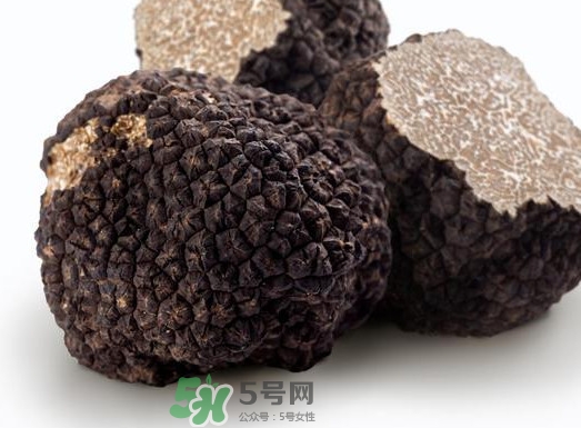 松露生长在什么地方,松露产地在哪里?