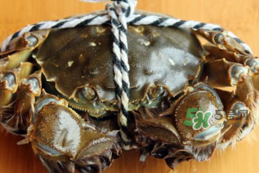 为什么大闸蟹要绑起来,螃蟹为什么绑着煮