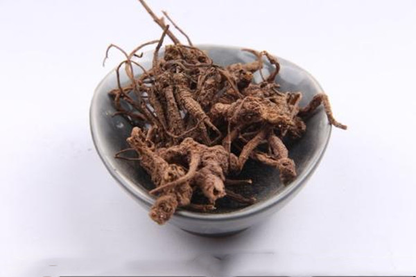 隔山香是什么呢(隔山香图片) 隔山香是什么呢(隔山香图片)