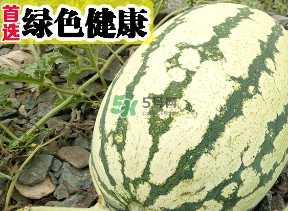 石头t7pro什么时候上市的,石头科技什么时候上市的